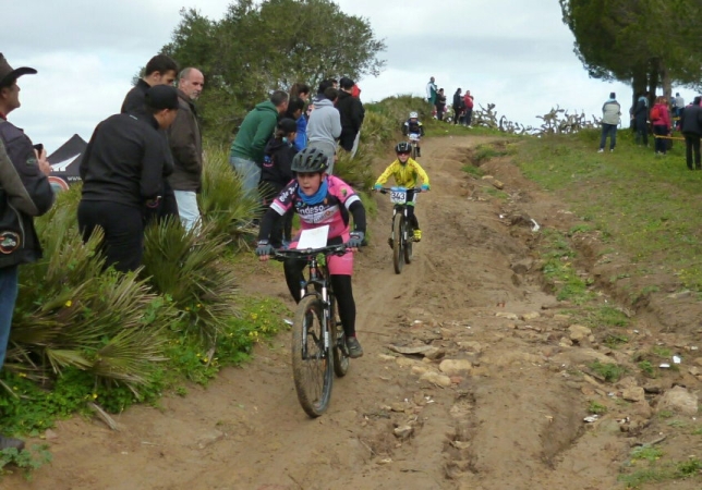 RALLY BTT6